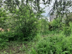 ��������� ������� �������, ³�����, ³�������, ����� ���� 4