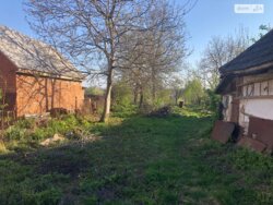 ��������� ������� ��������, ³��������, ³������� ���� 8