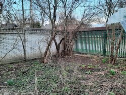 ��������� ������� ��������, 61, ³�����, ³�������, ����� ���� 5