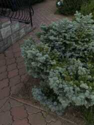 ��������� ������� ����������, ³������ ������, ³��������, ³������� ���� 9