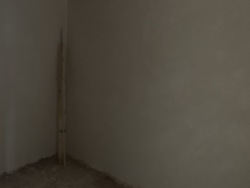 ��������� ������� ������������, 31, ³������ ������, ³��������, ³������� ���� 8