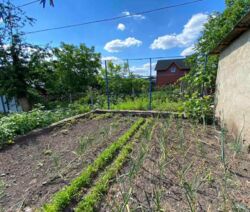 ��������� ������� �������� ������������, 26, ³�����, ³�������, �������� ���� 8