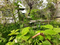 ��������� ������� ��������, ³�����, ³�������, ����� ���� 7