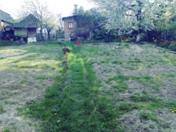 ��������� ������� �������, 35, ³�����, ³�������, ����� ���� ���� 2