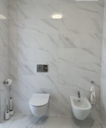 ��������� ������� �����, ��������, ³��������, ³������� ���� 11