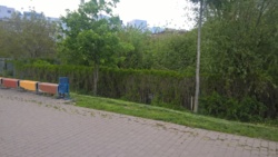 Продається будинок Кармелюка, 8, Вінниця, Вінницька, Ближнє Замостя фото 10 Продається будинок Кармелюка, 8, Вінниця, Вінницька, Ближнє Замостя фото 10