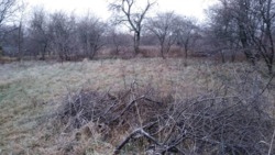 ��������� ������� ������������, 136, ³�����, ³�������, ����� ���� 7