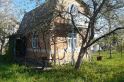 ��������� ������� ��������, ³������ ������, ³��������, ³������� ���� 2