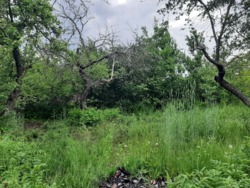 ��������� ������� �������, ³�����, ³�������, ����� ���� 6