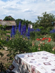 ��������� ������� ����. ���������, 5, ³�����, ³�������, ����� ���� ���� 6