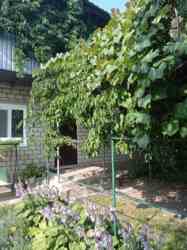 ��������� ������� �������� (��������), 128, ³�����, ³�������, ����� ���� ���� 8