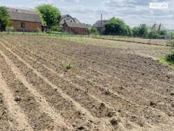 Продається будинок Стрижавка, Вінницький, Вінницька фото 7 Продається будинок Стрижавка, Вінницький, Вінницька фото 7