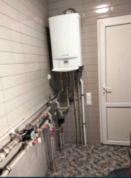 ��������� ������� ��������, 43, ����������, ³��������, ³������� ���� 19