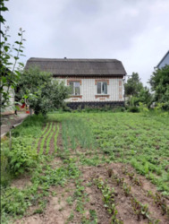 ��������� ������� ���������, ³�����, ³�������, �������� ���� 1