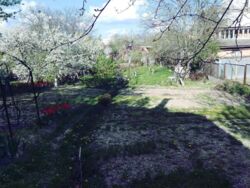 ��������� ������� �������, 35, ³�����, ³�������, ����� ���� ���� 3