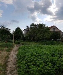 ��������� ������� �������, 62, ³�����, ³�������, ������� ���� ���� 14