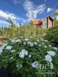   805 .  / 12    /  /   3