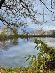 Продам будинок в Рибальському, Ігрень, САмарський район фото 62 Продам будинок в Рибальському, Ігрень, САмарський район фото 62