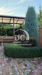 ������ ��� � �������� � �������� � ���������, ����� � ����� ���� 22