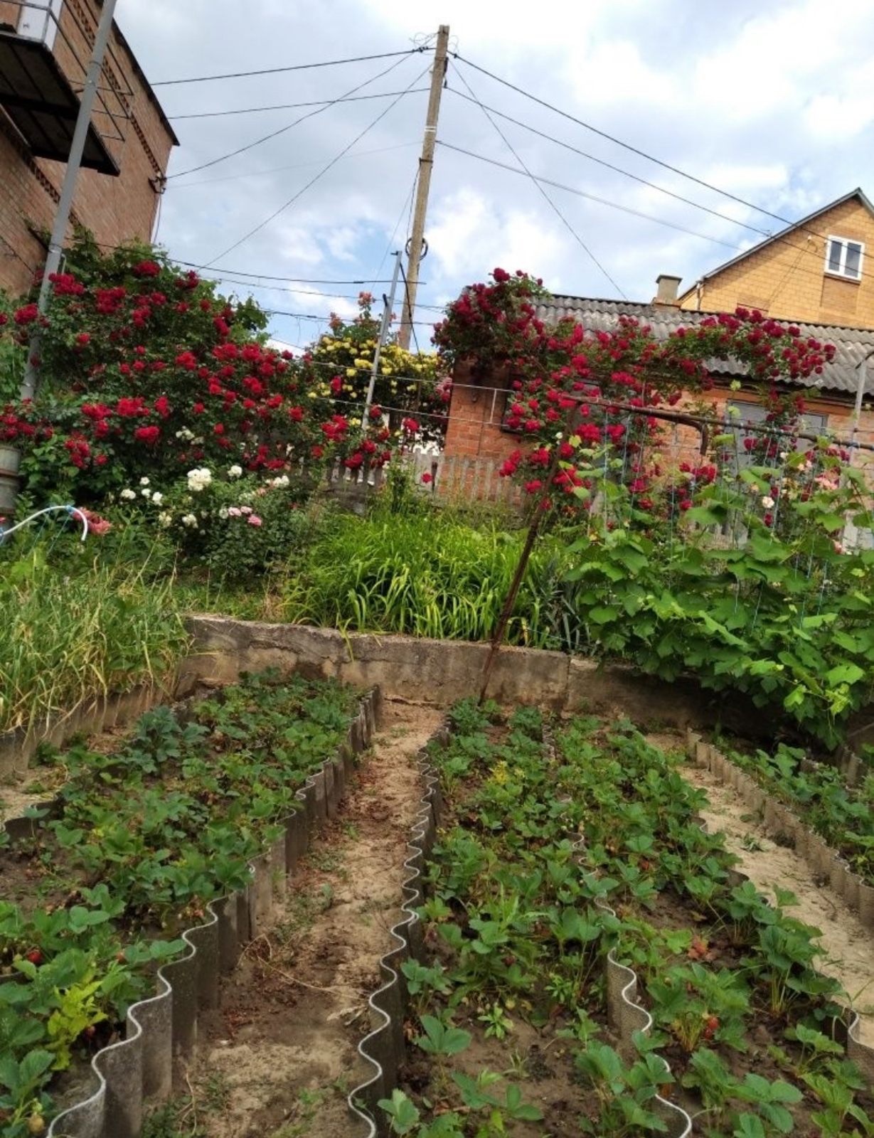 Продається будинок 96 кв.м. Гарний стан. Вигідна ціна. фото 1 Продається будинок 96 кв.м. Гарний стан. Вигідна ціна. фото 1