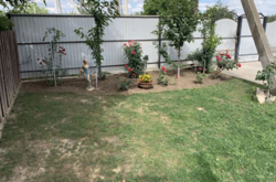 Шикарний будинок з ділянкою 15 соток фото 20 Шикарний будинок з ділянкою 15 соток фото 20