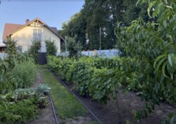 ��������� �������� ������� 215 ��.�. 5 �����, ������������� ����� ���� 30