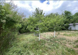 Вінницькі хутори Будинок на продаж фото 3 Вінницькі хутори Будинок на продаж фото 3