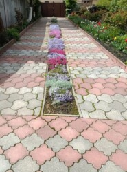 Продається 2-х поверховий будинок в р-ні Замостя. Добрий стан. Площа 196 кв.м. фото 8 Продається 2-х поверховий будинок в р-ні Замостя. Добрий стан. Площа 196 кв.м. фото 8