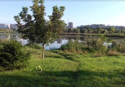 Продається житловий будинок в с. Пирогово. площа 250 кв.м. 4 кімнати. фото 1 Продається житловий будинок в с. Пирогово. площа 250 кв.м. 4 кімнати. фото 1