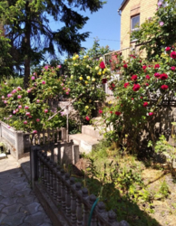 Продається будинок 96 кв.м. Гарний стан. Вигідна ціна. фото 13 Продається будинок 96 кв.м. Гарний стан. Вигідна ціна. фото 13