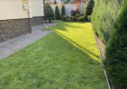 ��������� �������� ������� 215 ��.�. 5 �����, ������������� ����� ���� 33