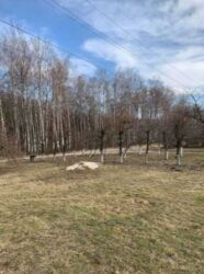 Продаж будинку 289 кв.м. в с. Лука-Мелешківська фото 2 Продаж будинку 289 кв.м. в с. Лука-Мелешківська фото 2