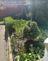 Продаж 2 поверхового будинку з ділянкою на 10 соток, 75.7 кв. м, 4 кімнати, на вул. Шимка Максима фото 6 Продаж 2 поверхового будинку з ділянкою на 10 соток, 75.7 кв. м, 4 кімнати, на вул. Шимка Максима фото 6