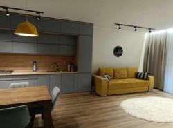 Продається розкішний танхаус з ремонтом. 121 кв. м. площа. с. Пирогово. Все сучасне якісне. фото 6 Продається розкішний танхаус з ремонтом. 121 кв. м. площа. с. Пирогово. Все сучасне якісне. фото 6