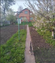 Продаж 1 поверхового будинку з гаражем і ділянкою на 10 соток, 100 кв. м, 4 кімнати фото 4 Продаж 1 поверхового будинку з гаражем і ділянкою на 10 соток, 100 кв. м, 4 кімнати фото 4