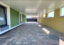  1-   .  155 .. -   8