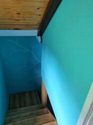 Продається 2-х поверховий будинок з технікою та меблями. Замостянський район фото 14 Продається 2-х поверховий будинок з технікою та меблями. Замостянський район фото 14