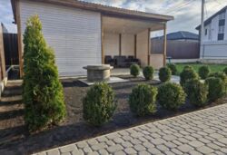 Продаж 2 поверхового будинку бесідка і ділянкою на 4 сотки, 120 кв. м, 4 кімнати, на 2-й пров. Дружби фото 12 Продаж 2 поверхового будинку бесідка і ділянкою на 4 сотки, 120 кв. м, 4 кімнати, на 2-й пров. Дружби фото 12