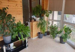  3-  . 156 ..  . -    3