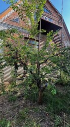 Продається 1-но поверховий будинок площею 107 кв.м. р-н Старе місто. фото 4 Продається 1-но поверховий будинок площею 107 кв.м. р-н Старе місто. фото 4