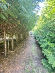 Продам будинок з приміщенням для бізнесу фото 7 Продам будинок з приміщенням для бізнесу фото 7