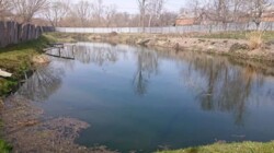 Продам дачу 26 соток 14 км від Вінниці село. Дашківці фото 3 Продам дачу 26 соток 14 км від Вінниці село. Дашківці фото 3