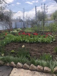 Продається 2-х поверховий будинок в р-ні Слов'янка. Добрий стан. фото 3 Продається 2-х поверховий будинок в р-ні Слов'янка. Добрий стан. фото 3