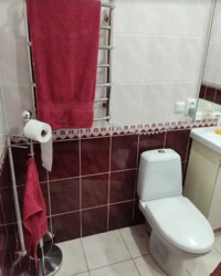 Продається будинок 2 поверхи. Ремонт, р-н Старого міста фото 11 Продається будинок 2 поверхи. Ремонт, р-н Старого міста фото 11