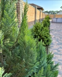 ��������� ����� ������� 140 ��.�. ������������� �����. ���� 6