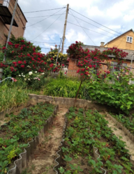 Продається будинок 96 кв.м. Гарний стан. Вигідна ціна. фото 1 Продається будинок 96 кв.м. Гарний стан. Вигідна ціна. фото 1