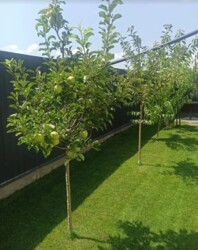 Продаж 1 поверхового будинку з ділянкою на 5.4 сотки, 133.6 кв. м, 3 кімнати. Витончений дизайн. фото 38 Продаж 1 поверхового будинку з ділянкою на 5.4 сотки, 133.6 кв. м, 3 кімнати. Витончений дизайн. фото 38