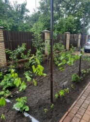 Продаж 2-х поверхового нового будинку з ремонтом. Ціна приваблива на ринку! Рекомендую. фото 8 Продаж 2-х поверхового нового будинку з ремонтом. Ціна приваблива на ринку! Рекомендую. фото 8