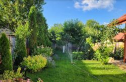 ������ 1 ����������� ������� ������ � ������� �� 5.2 �����, 70 ��. �, 3 ������, �� ���. ������ ������������ ���� 18