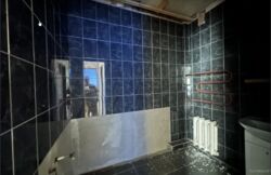 ��������� ������� ����� ��������, ³�����, ³�������, ����������� ���� 8